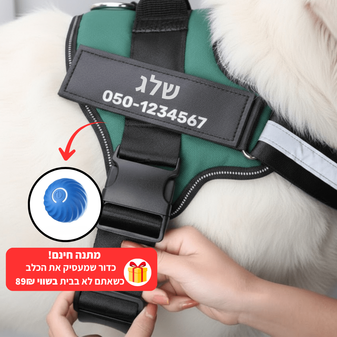 EasyWalk™-רתמה מומלצת ע״י מאלפים למניעת משיכות ובריאות הכלב