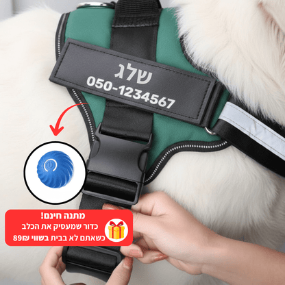 EasyWalk™-רתמה מומלצת ע״י מאלפים למניעת משיכות ובריאות הכלב