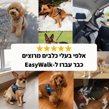 EasyWalk™-רתמה מומלצת ע״י מאלפים למניעת משיכות ובריאות הכלב