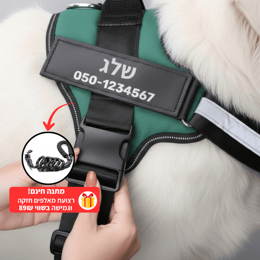 EasyWalk™-רתמה מומלצת ע״י מאלפים למניעת משיכות ובריאות הכלב