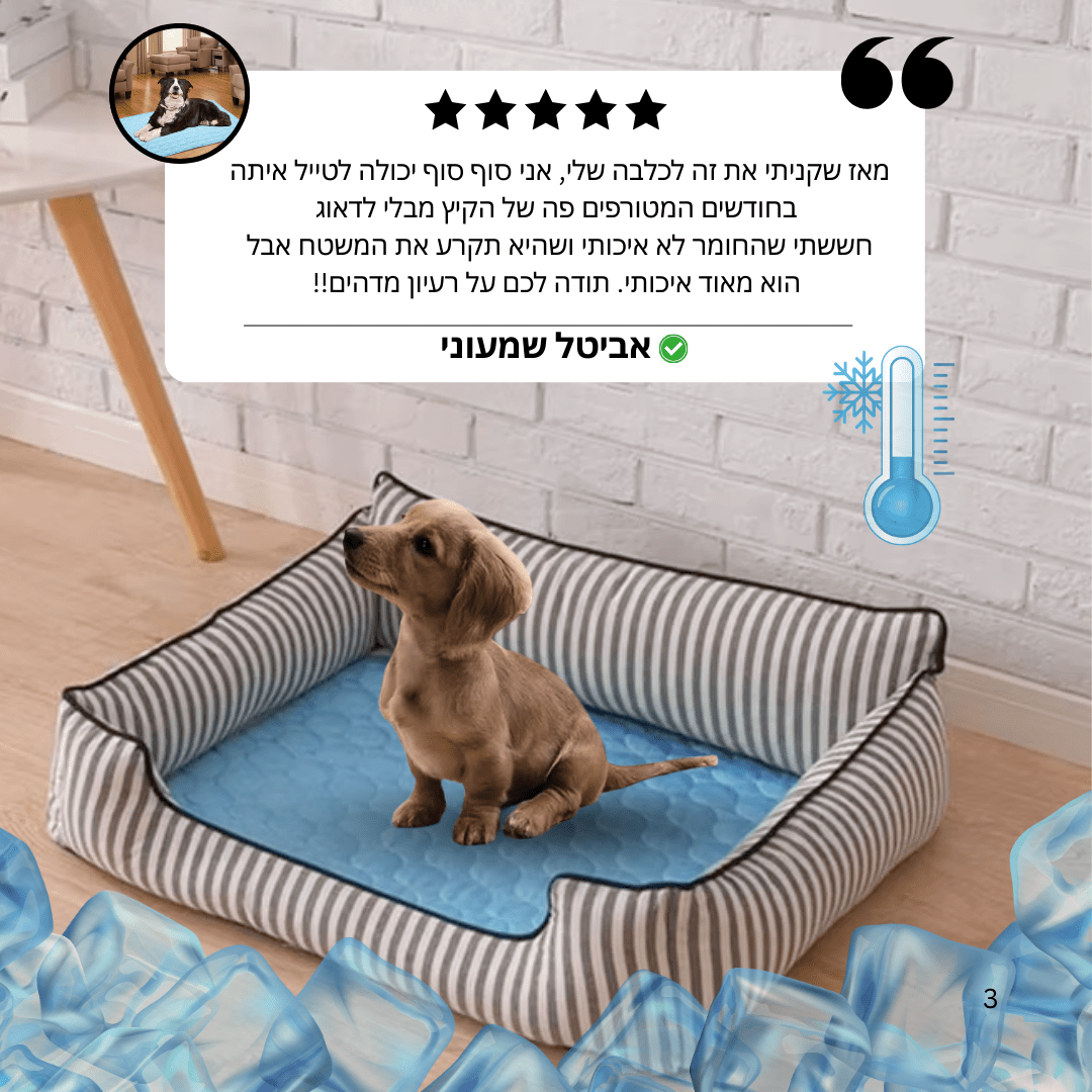 ™CoolDog  - משטח הקירור לכלב