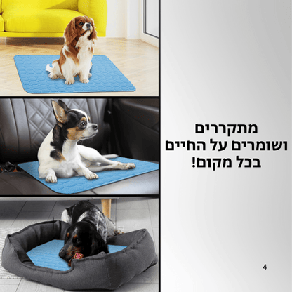 ™CoolDog  - משטח הקירור לכלב